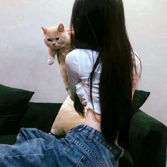 卡美拉万岁