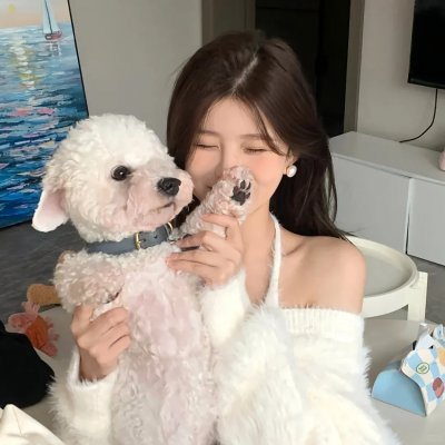 炸鸡块奇遇记